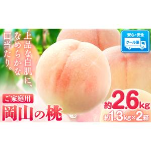 ふるさと納税 桃 岡山 約2.6kg(約1.3kg×2箱) 《2024年6月下旬-9月上旬頃出荷》 ...