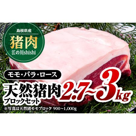 ふるさと納税 江の川shishi ブロックセット 2.7kg〜3kg 猪肉 いのしし肉 イノシシ肉 ...