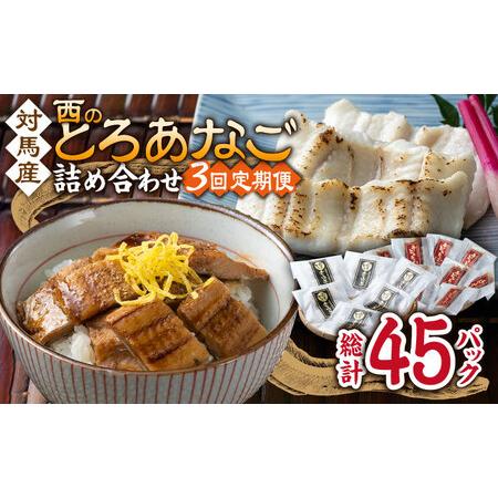 ふるさと納税 【全3回定期便】対馬産 穴子 詰め合わせ 15PAC [WAV006] 対馬 新鮮 と...