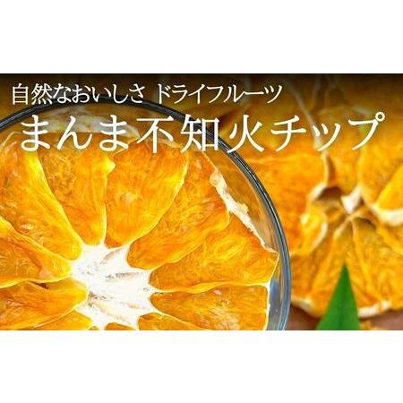 ふるさと納税 ドライフルーツ しらぬいチップ 100g ( 20g × 5袋 ) 和歌山県産 果物使...