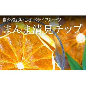 ふるさと納税 ドライフルーツ きよみチップ 200g ( 20g × 10袋 ) 和歌山県産 果物使用 自社製造 【みかんの会】 和歌山県有田川町