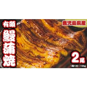 ふるさと納税 鹿児島県産 有頭 鰻 蒲焼 × 2尾 （ 1尾 135g 〜 155g 以上） うなぎ...