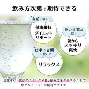 ふるさと納税 シリカ&バナジウム強炭酸水PET...の詳細画像3