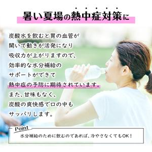 ふるさと納税 シリカ&バナジウム強炭酸水PET...の詳細画像4