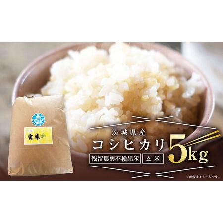 ふるさと納税 【残留農薬不検出米】茨城県産 コシヒカリ 5kg【玄米】 令和5年産 単一原料米 おこ...