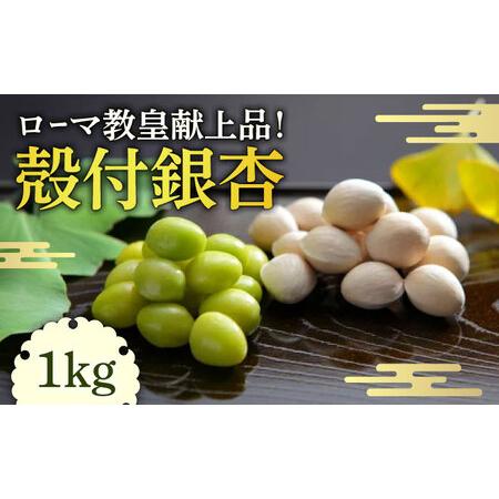 ふるさと納税 殻付 銀杏 1kg / 冷凍 野菜 ぎんなん 南島原市 / セミナリヨの丘銀杏畑[SB...