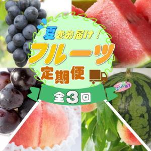ふるさと納税 定期便全3回 和歌山の人気の夏のフ...の商品画像