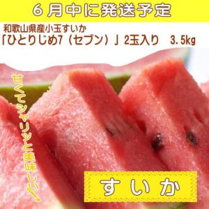 ふるさと納税 定期便全3回 和歌山の人気の夏の...の詳細画像1