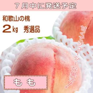 ふるさと納税 定期便全3回 和歌山の人気の夏の...の詳細画像2