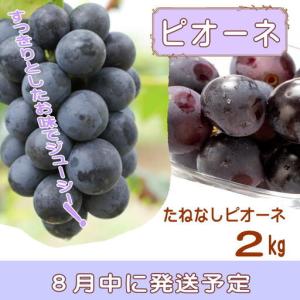 ふるさと納税 定期便全3回 和歌山の人気の夏の...の詳細画像3