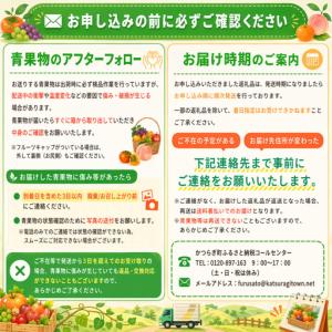 ふるさと納税 定期便全3回 和歌山の人気の夏の...の詳細画像4