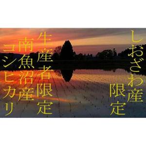 ふるさと納税 【令和7年】【定期便20kg×1...の詳細画像3