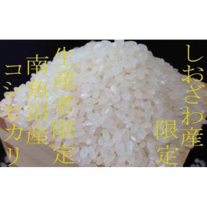 ふるさと納税 【令和7年】【定期便20kg×1...の詳細画像4