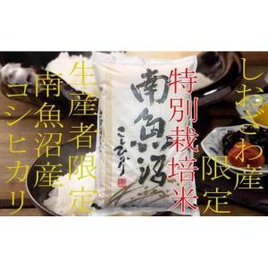 ふるさと納税 【令和7年】【定期便20kg×1...の詳細画像2