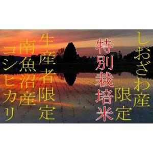 ふるさと納税 【令和7年】【定期便20kg×1...の詳細画像3