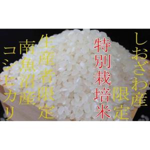 ふるさと納税 【令和7年】【定期便20kg×1...の詳細画像4