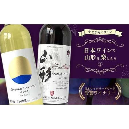 ふるさと納税 やまがたのワイン 『日本ワインで山形を楽しもう≪1≫』 F2Y-3502 山形県