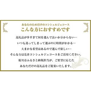 ふるさと納税 【 茨城県桜川市 コンシェルジュ...の詳細画像1