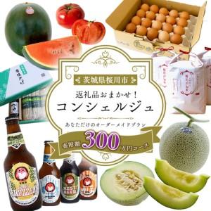 ふるさと納税 【 茨城県桜川市 コンシェルジュ】...の商品画像