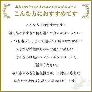 ふるさと納税 【 茨城県桜川市 コンシェルジュ...の詳細画像1