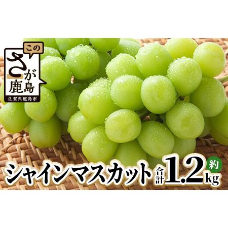 ふるさと納税 シャインマスカット 約1.2kg 2〜3房 ご家庭用 佐賀県産 【先行予約 2026年...