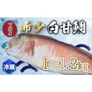 ふるさと納税 白 甘鯛 1〜1.2kg 冷蔵 高級 魚 鮮魚 シ...