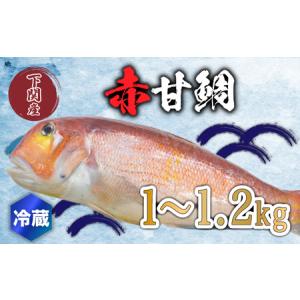 ふるさと納税 赤 甘鯛 1〜1.2kg 冷蔵 高級 魚 鮮魚 ア...