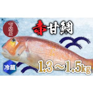 ふるさと納税 赤 甘鯛 1.3〜1.5kg 冷蔵 高級 魚 鮮魚 ...