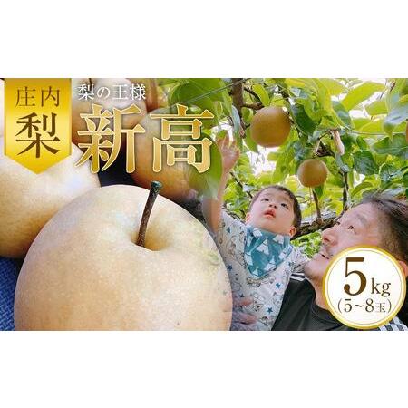 ふるさと納税 ＜梨の王様＞庄内梨 新高 5kg（5〜8玉）【2024年10月上旬頃より発送】 大分県...