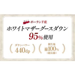ふるさと納税 羽毛 合掛け布団プレミアム ダブ...の詳細画像1