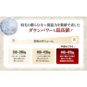 ふるさと納税 羽毛 合掛け布団プレミアム ダブ...の詳細画像2