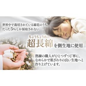 ふるさと納税 羽毛 合掛け布団プレミアム ダブ...の詳細画像3