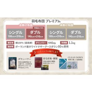 ふるさと納税 羽毛 合掛け布団プレミアム ダブ...の詳細画像4