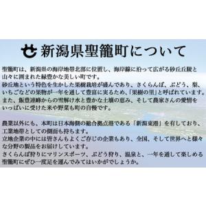 ふるさと納税 【3ヶ月定期便】サトウのごはん ...の詳細画像2
