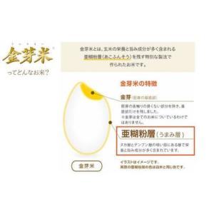 ふるさと納税 BG 無洗米 金芽米 にこまる ...の詳細画像2
