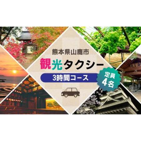 ふるさと納税 山鹿市 観光タクシー 3時間コース【肥後第一交通 株式会社 】[ZBJ002] 熊本県...