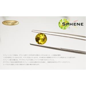 ふるさと納税 リング KT-1173 プラチナ...の詳細画像2