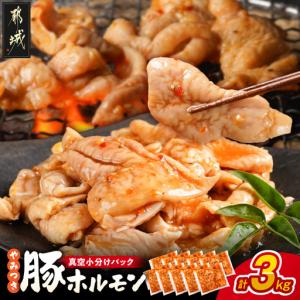 ふるさと納税 やみつき豚ホルモン!3kg!真空小分けパック!〔LG8-3303〕_(都城市) 国産 味付き 300g×10P 豚肉 宮崎県都城市