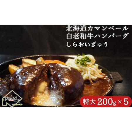 ふるさと納税 道産和牛カマンベールチーズハンバーグ（200g）5個入り 【 ふるさと納税 人気 おす...