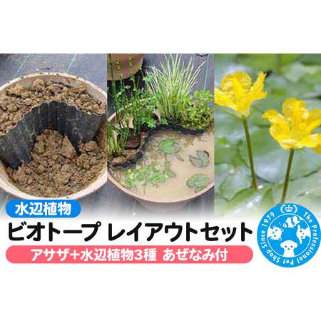 ふるさと納税 水辺植物 ビオトープレイアウトセット（アサザ＋水辺植物3種 あぜなみ付） 群馬県邑楽町