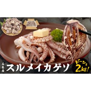 ふるさと納税 スルメイカ ゲソ 石巻産 (2kg) いかげそ