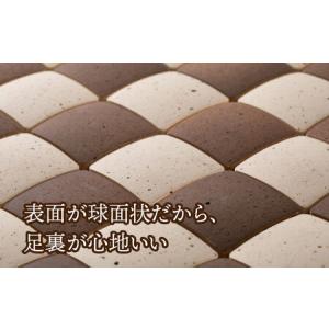 ふるさと納税 ＼生活応援実施中/【美濃焼】珪藻...の詳細画像3