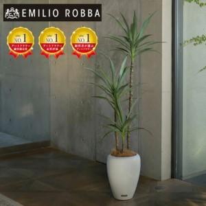 ふるさと納税 アートフラワー エミリオ・ロバ ユッカラン TUTTA90550 三重県名張市