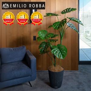 ふるさと納税 アートフラワー エミリオ・ロバ モンステラ(根付き）TUTTA06750 三重県名張市