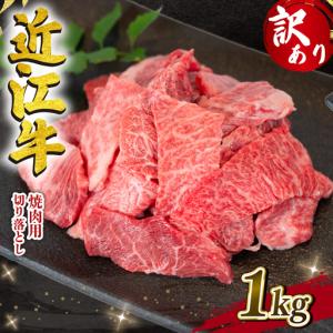ふるさと納税 近江牛1kg 切り落とし [E506_N1_10]近江牛 滋賀県竜王町