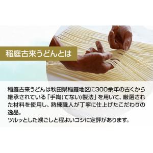 ふるさと納税 《定期便4ヶ月》稲庭古来堂 切り...の詳細画像2
