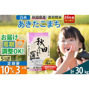 ふるさと納税 【白米】＜令和6年産 新米予約＞ 《定期便3ヶ月》秋田県産 あきたこまち 10kg (5kg×2袋)×3回 10キロ お米【2024年秋 収.. 秋田県仙北市