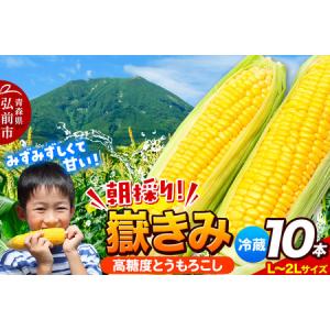ふるさと納税 【先行受付2025年】とうもろこし味来(みらい 約3.0 ふるさと納税 【先行受付2025年】とうもろこし味来(みらい 約3.0