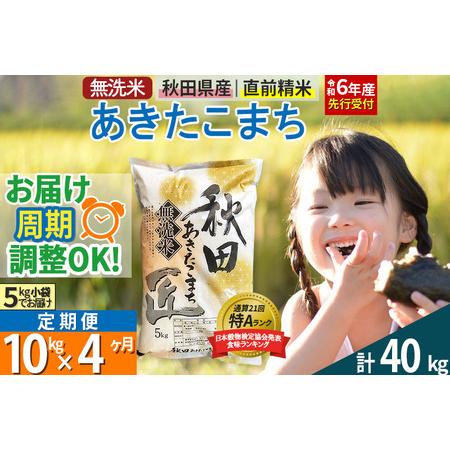 ふるさと納税 【無洗米】＜令和6年産 新米予約＞《定期便4ヶ月》秋田県産 あきたこまち 10kg (...