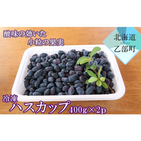 ふるさと納税 北海道の冷凍果実ハスカップ 天然の甘酸っぱさをそのままお届け 【山科農園 冷凍ハスカッ...